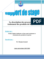 rapport fatima tvpp2 (1).pdf