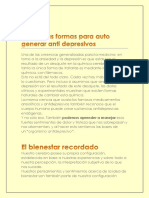 6 Sencillas Formas de Auto Generar Anti Depresivos PDF