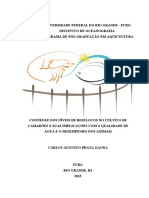 Tese Carlos Gaona 2015 PDF