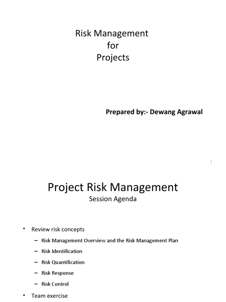 Project Risk Management Strategies | PDF | Risk Management | Risk