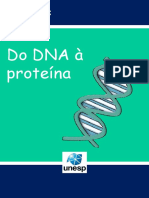 Do DNA À Proteína