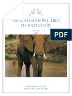 Animales en Peligro de Extinción