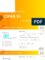 Cipas S1 PDF