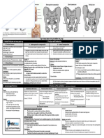 Fracturte of Pelvis PDF
