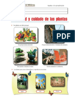 Utilidad y Cuidado de Las Plantas PDF