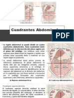 Cuadrantes Abdominales