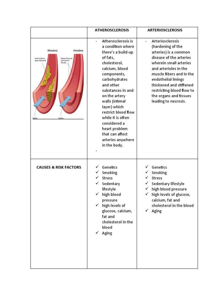 Arteriosclerosis vs. Atherosclerosis | PDF | Atherosclerosis | Artery