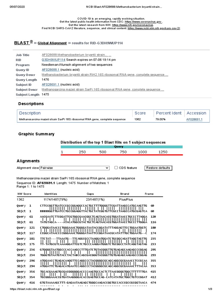 NCBI Blast - AF028688 - AF028691.1 PDF | PDF | Sequence Alignment ...
