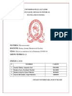 Trabajo Final de Micro-Economia.