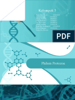 Philum Protozoa
