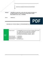Senegal-Projet Réhabilitation RN2 Et Ile-Resume-EIES - FR - 07 2015