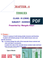 Chapter - 6 - Tissues - Class Ix - Science