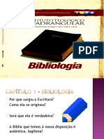 BIBLIOLOGIA CAP 1.pptx