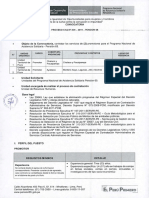 tdr-Proceso-CAS-020.pdf