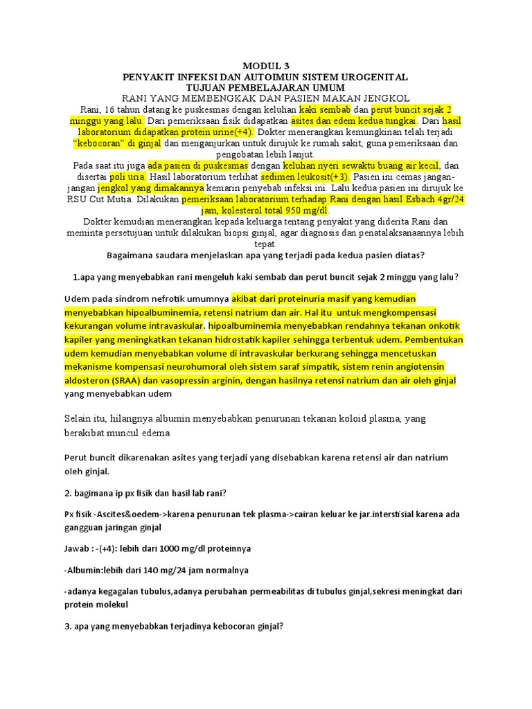 Modul 3 | PDF