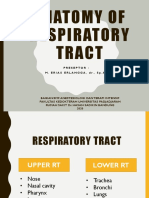 Anatomy Upper RT