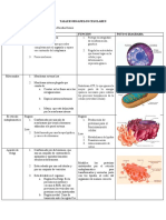 Taller Organelos