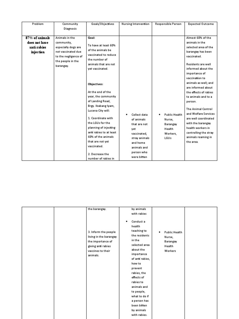 87% of Animals Does Not Have Anti-Rabies Injection: Goal | PDF | Rabies ...