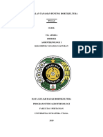 Dasar Hortikultura - TIA AFRIDA - 190301021 - AET1 (2019) .-Dikonversi PDF