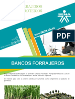 Bancos Forrajeros - SENA