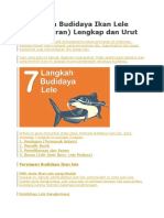 7 Langkah Budidaya Ikan Lele