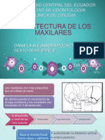 Arquitectura de Los Maxilares PDF