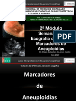 Ecografía fetal marcadores aneuploidías