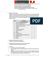 BASES CAS VIRTUALIZADAS v4 CAS N°168-2020 PDF