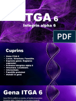 Integrina Alpha 6