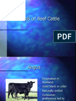 beef-breeds.pdf