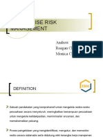 Enterprise Risk Management1