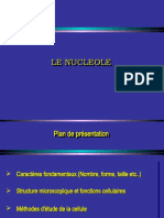 Nucléole