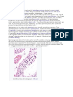 Spermatogenesis Is The Process by Which: Seminiferous Tubule With Maturing Sperm.