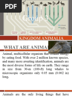 Group 3: Kingdom Animalia