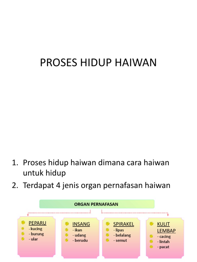 Sains Tahun 5 Proses Hidup Haiwan