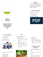 Leaflet Hipertensi Gerotik