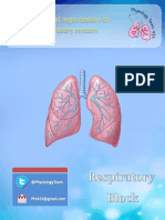 L1- Functional organization of the respiratory system.pdf