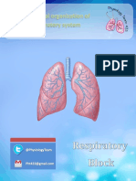 L1 - Functional Organization of The Respiratory System PDF