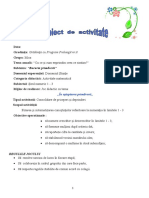 0_proiecte_de_activitate.doc