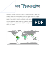 Trabajo Grupal - Bosques Tropicales PDF