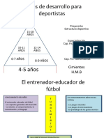 Etapas de Desarrollo para Deportistas