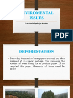 Enviromental Issues: Cristhian Felipe Rojas Morales