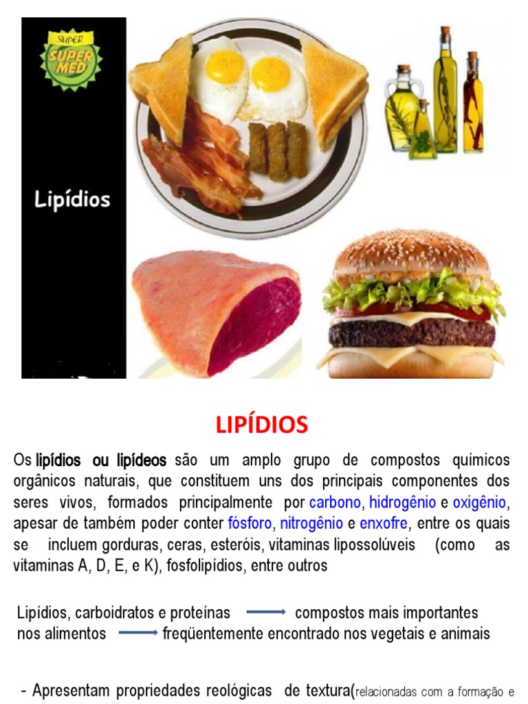 Guia Completo sobre Lipídios | PDF | Lipídio | Gordura