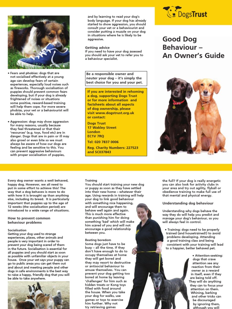 Good Dog Behaviour An Owner's Guide PDF Dog Training Dogs