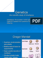 Genetics PPT With Examples Written in