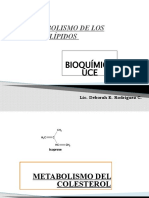 Colesterol para Bioquimica Clinica