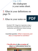 Answer The Cladogram Question On Your Notes Sheet. Glue in Your Definitions On Glue in Your Notes On Page 57