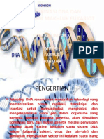 REKOMBINASI DNA DAN REKOMBINASI MAKHLUK EUKARIOT.pptx