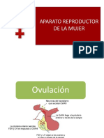04.aparato Reproductor Femenino PDF