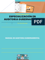 Manual de Auditoria Gubernamental PDF